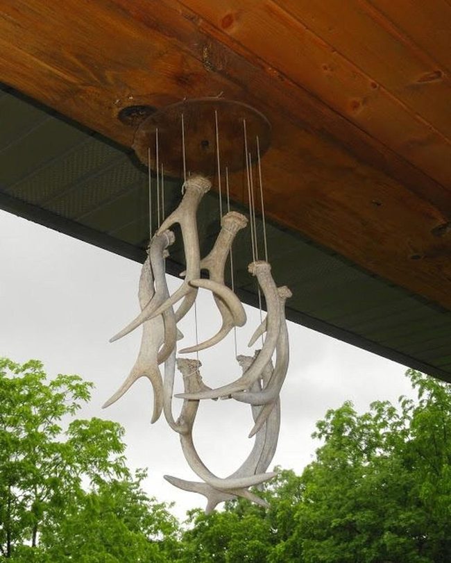 Antler Chimes Natural Wood Ceiling