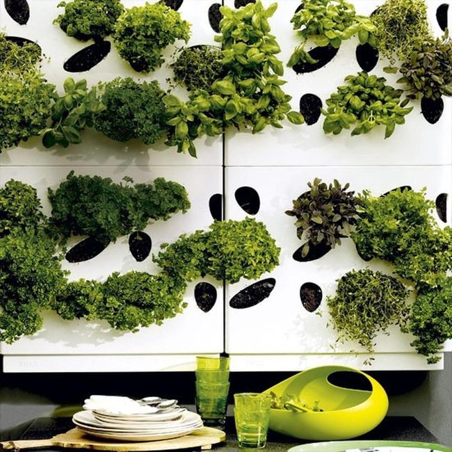 Green Kitchen Herb Wall