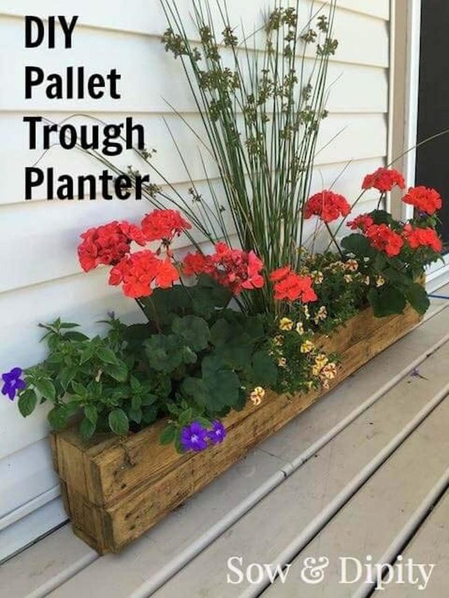 Blooming Pallet Wall Garden