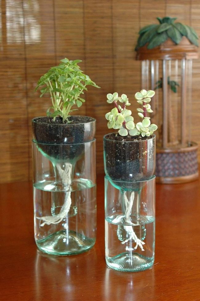 Self-Watering Wine Bottle Planters