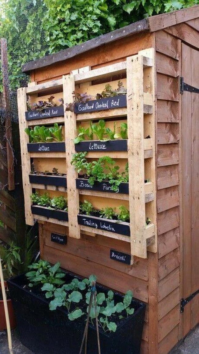 Stacked Pallet Herb Garden