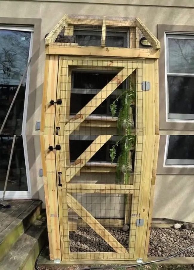 Salvaged Wood Cat Enclosure