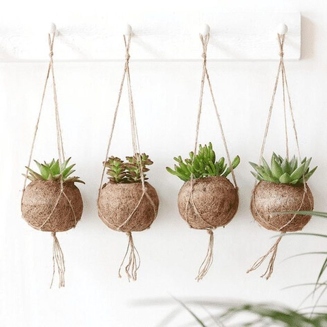 Handwoven Rope Plant Hangers