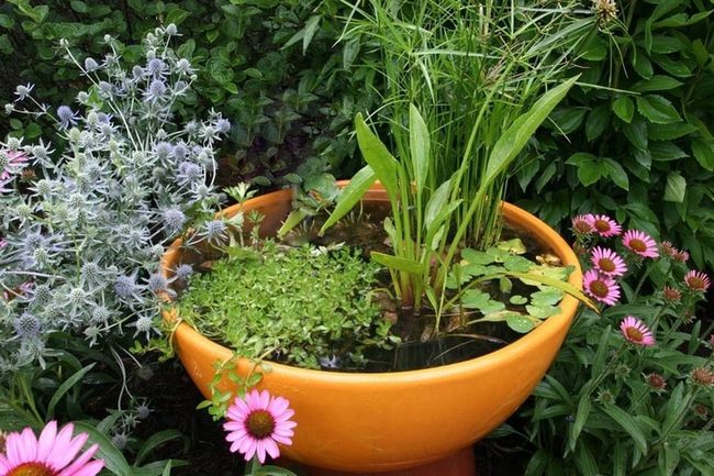 Orange Ceramic Water Gardens