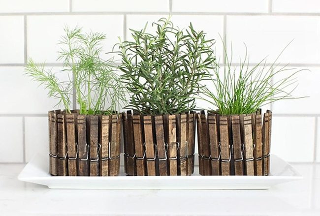 Wooden Clothespin Plant Holders