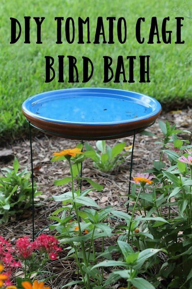 Tomato Cage Bird Bath