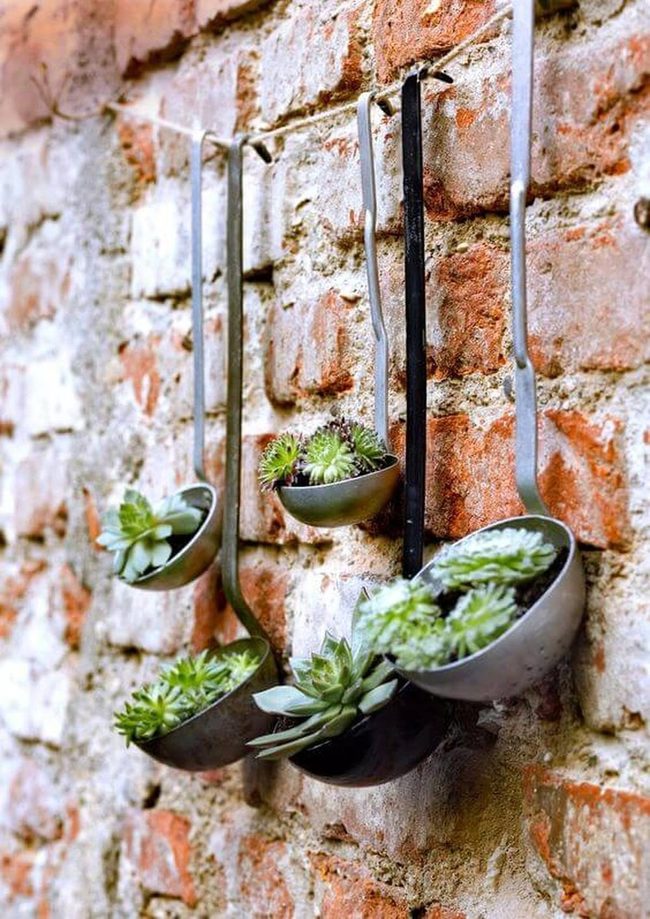 Weathered Ladles With Trailing Succulents