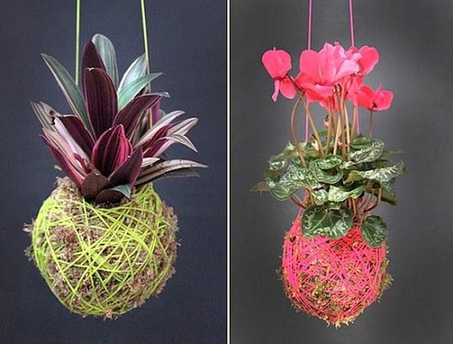 Verdant Sphere Wall Installation