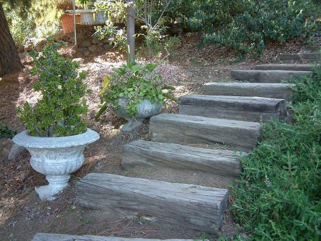 Timber Pathway Through Blooming Garden