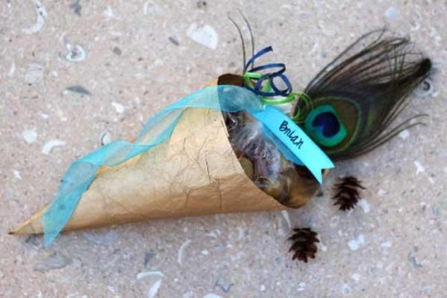 Brown Paper Cones, Blue Ribbons