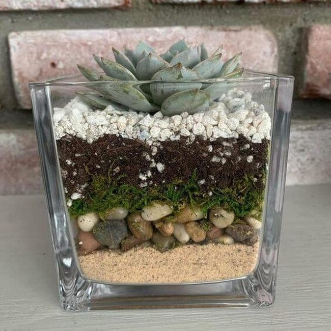 Layered Glass Succulent Worlds