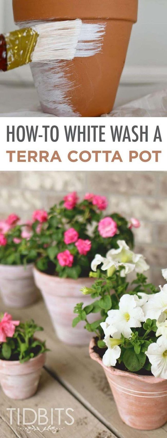 Whitewashed Terra Cotta Garden