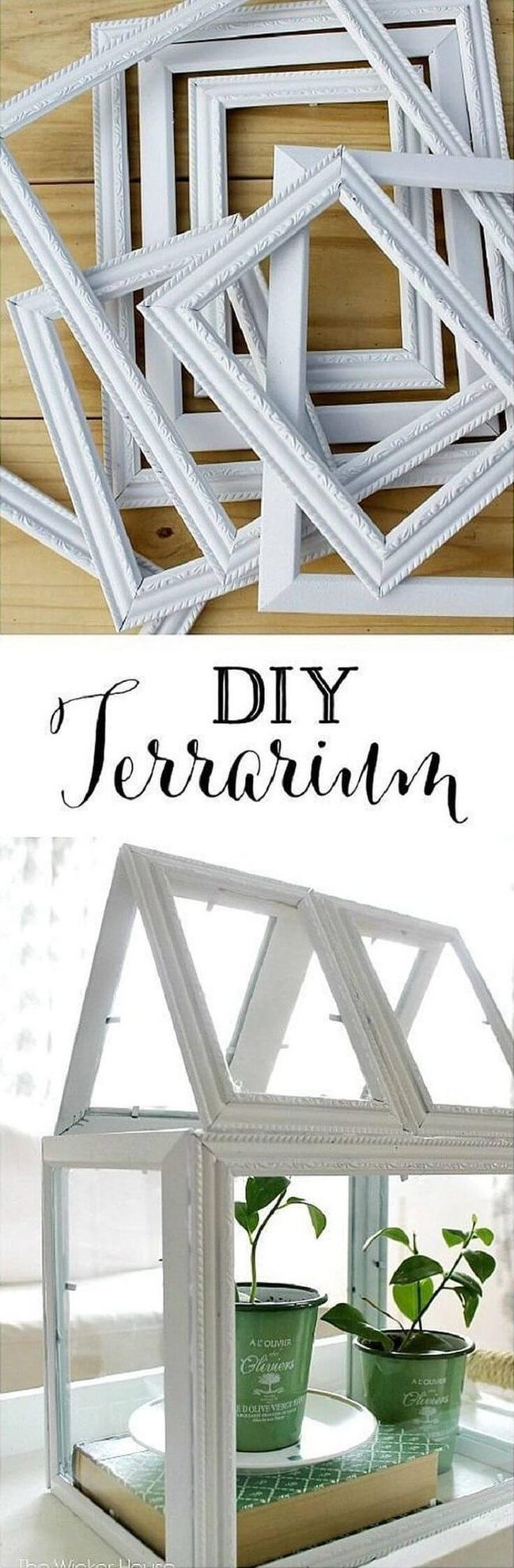 Framed Greenery On A Budget