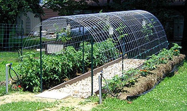 Green Metal Garden Passages