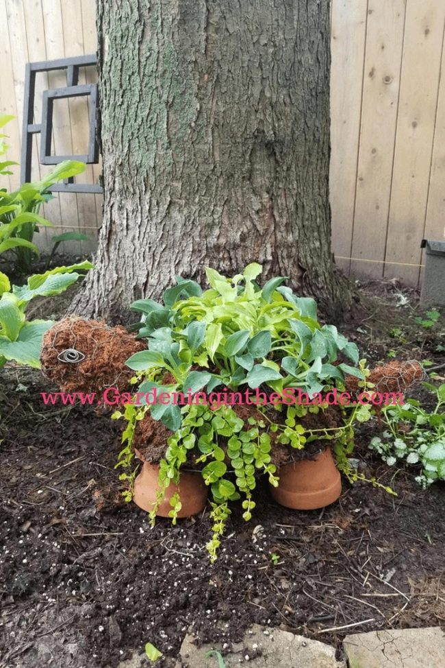 Terracotta Shell Garden Turtle