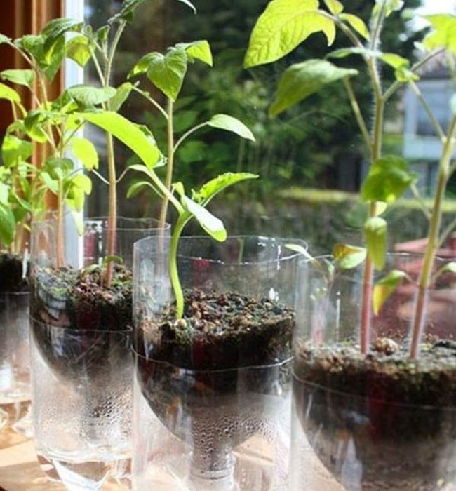Recycled Bottle Self-Watering Planters