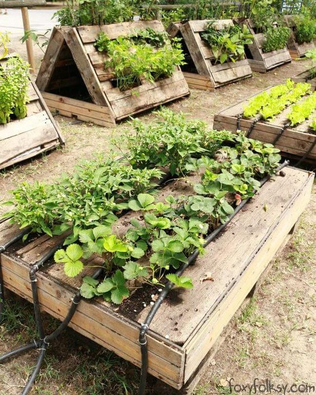 Wooden Pallet Garden Frames