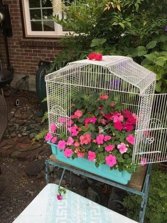 Vintage Metal Cages Cascading Green