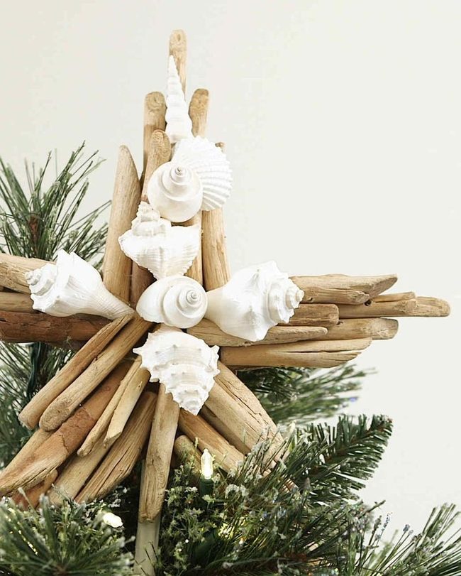 Driftwood Star With Shells