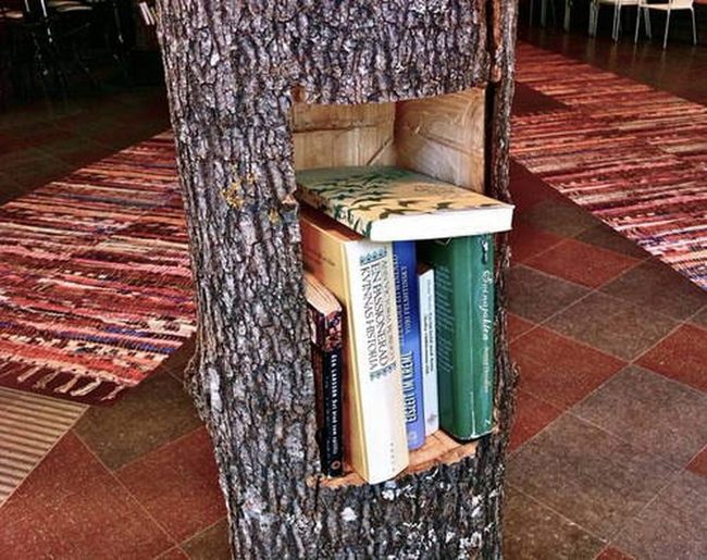 Raw Wood Stump Shelves