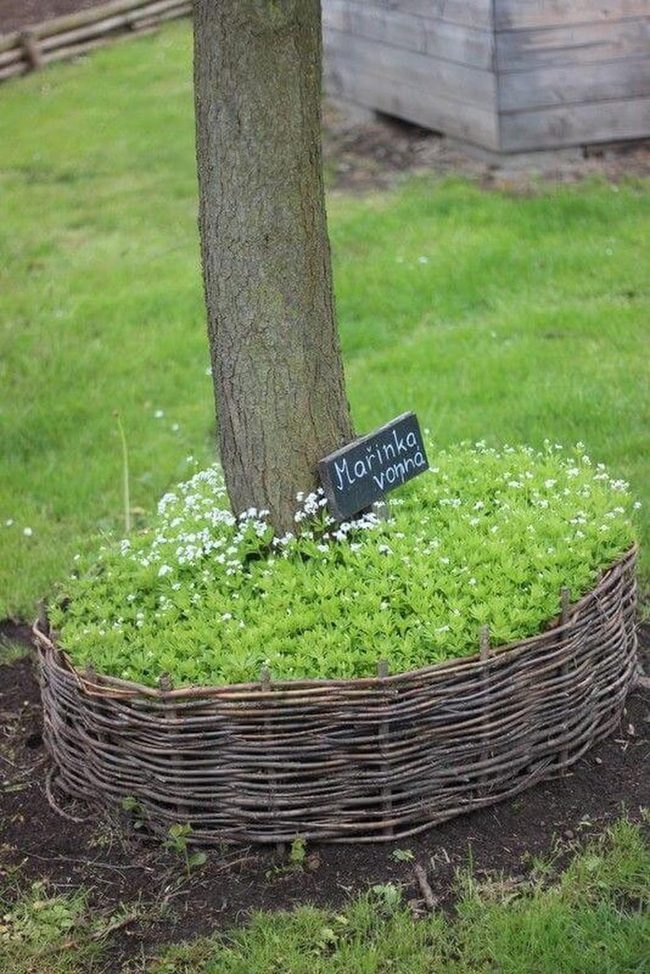 Wooden Tree Ring Garden Beds