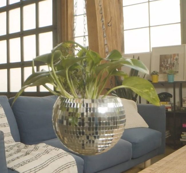Silver Spheres For Trailing Vines