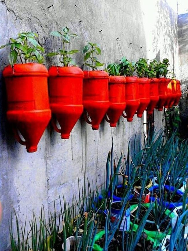 Orange Container Garden Wall