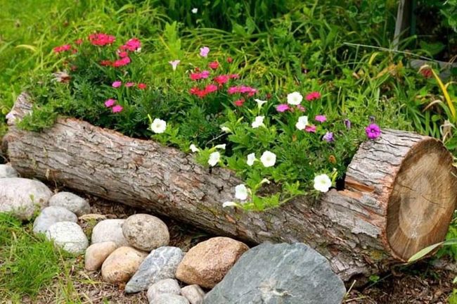 Hollowed Log Garden Planter