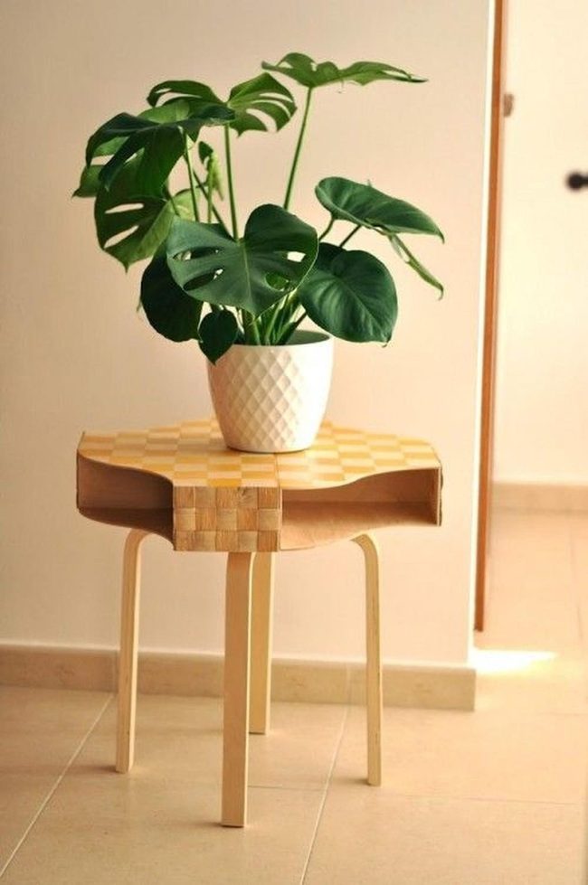 Checkered Wood With Green Plants