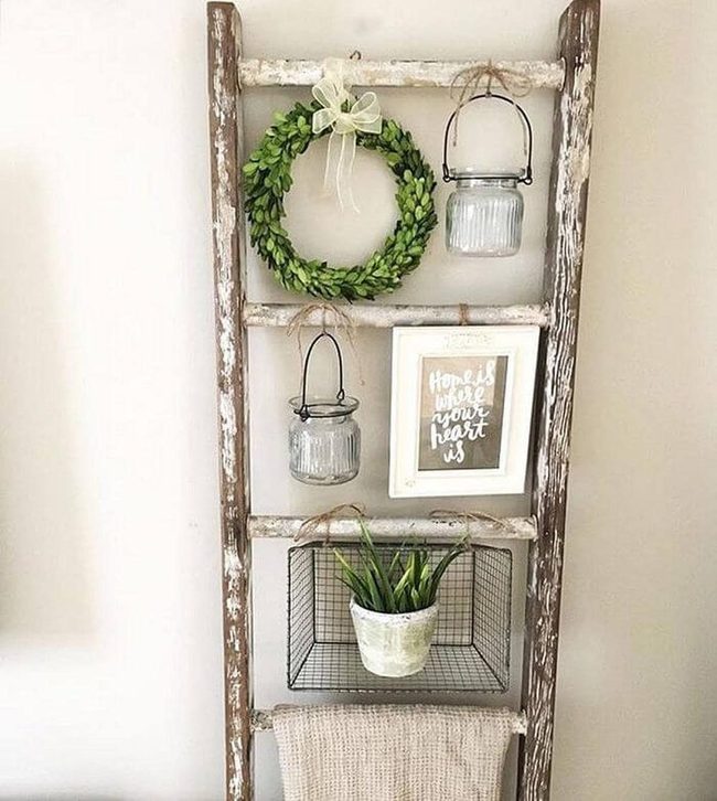 Weathered Ladder Plant Wall