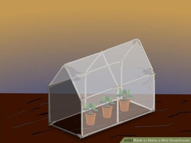 Sunlit Terracotta Plant Haven