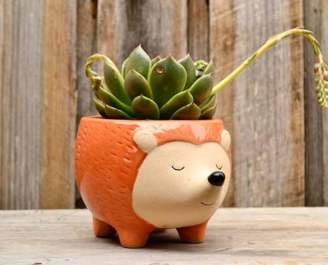 Orange Hedgehog Ceramic Planter