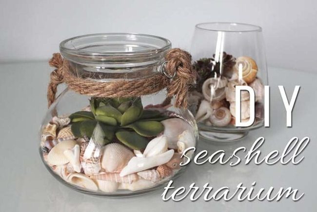 Succulents Nestled In Shells