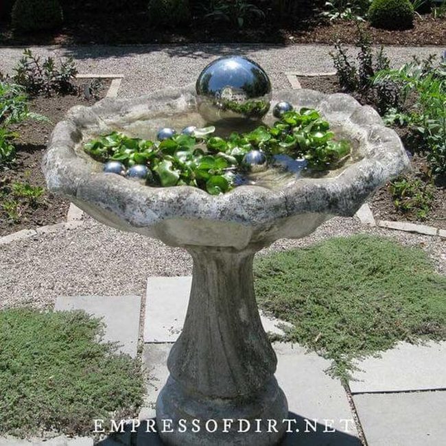 Reflective Birdbath Sanctuary