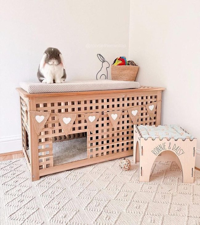 Sunlit Bunny House Room