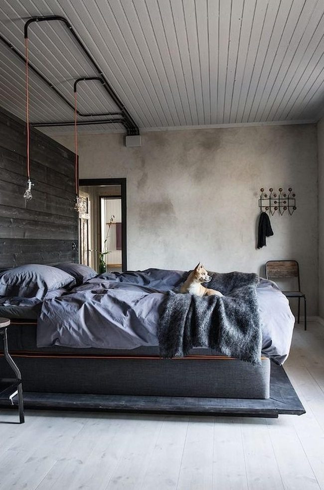 Cozy Pup Industrial Bedroom