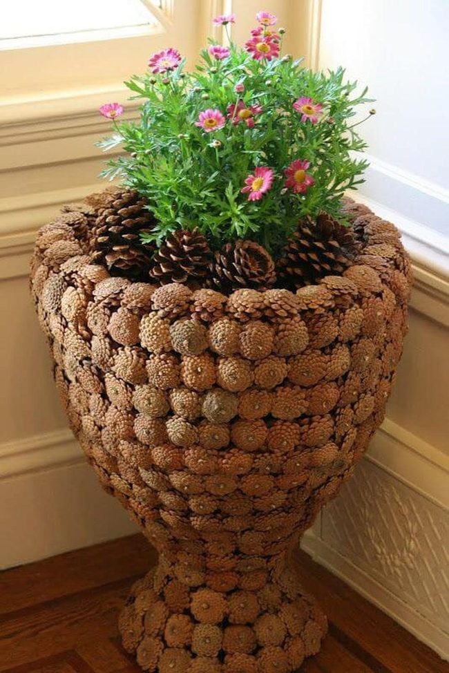 Pine Cone Flower Vessel