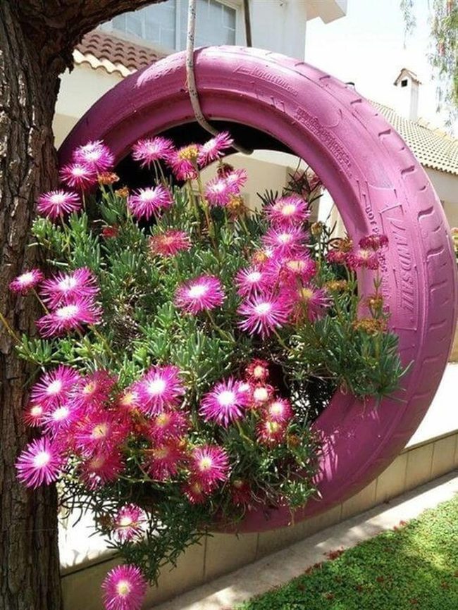 Pink Petals, Suspended Sky