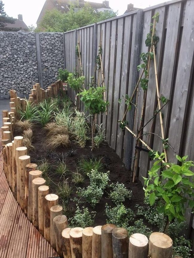Green Climbers On Bamboo Trellis