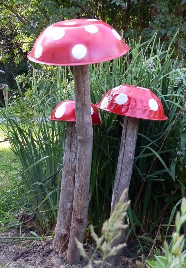 Red Capped Garden Mushrooms