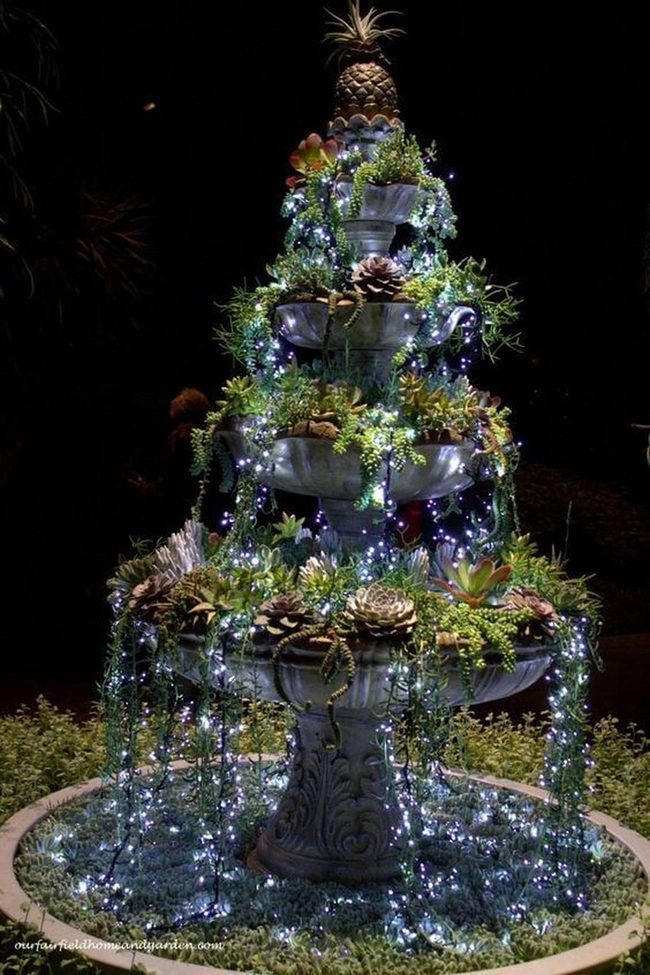 Cascading Water, Succulents, Lights