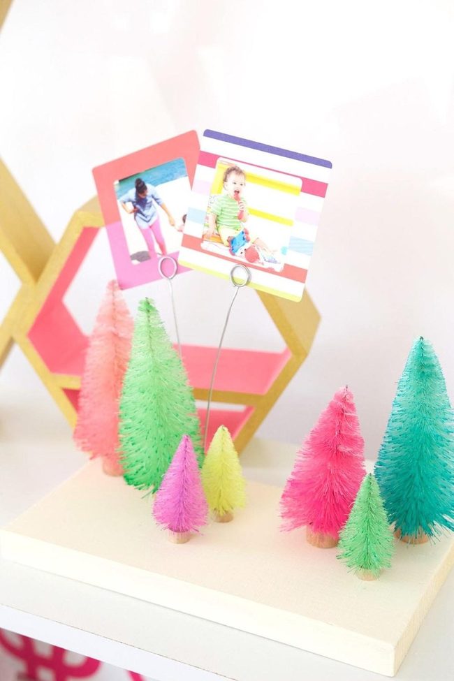 Miniature Trees In Rainbow Shades