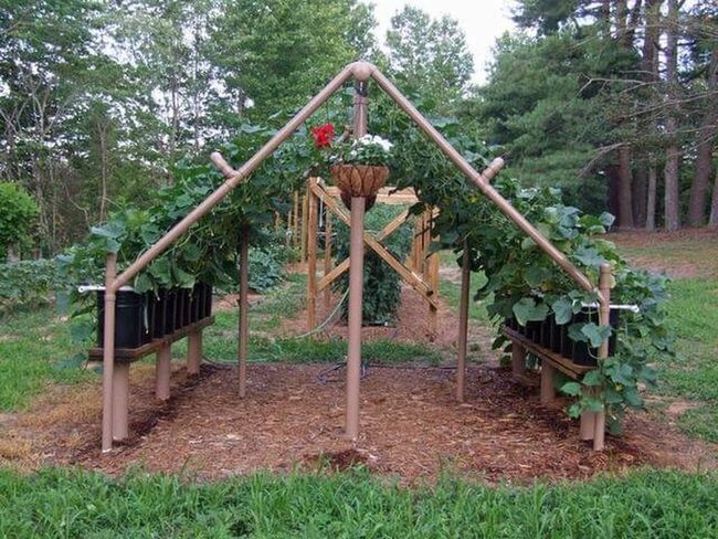 Green Climbing Archway With Hanging Baskets