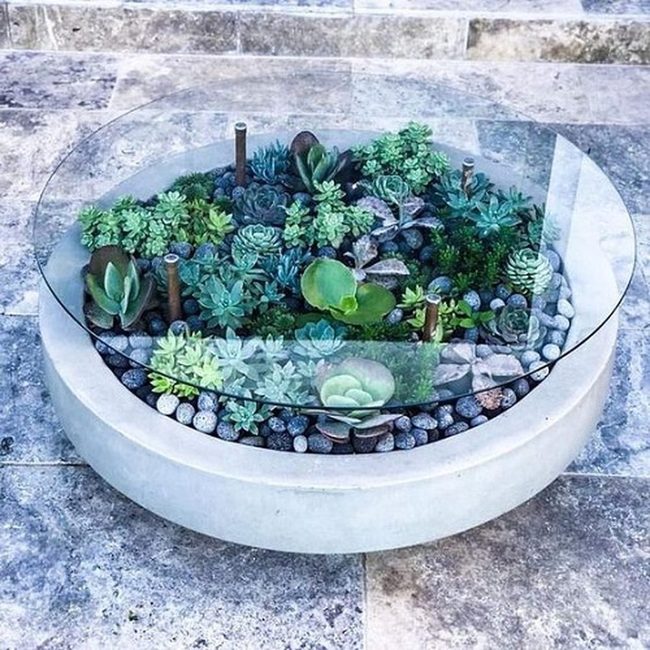 Glass-Enclosed Succulent Tables