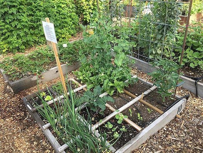 Quick Diy Wood Garden Bed