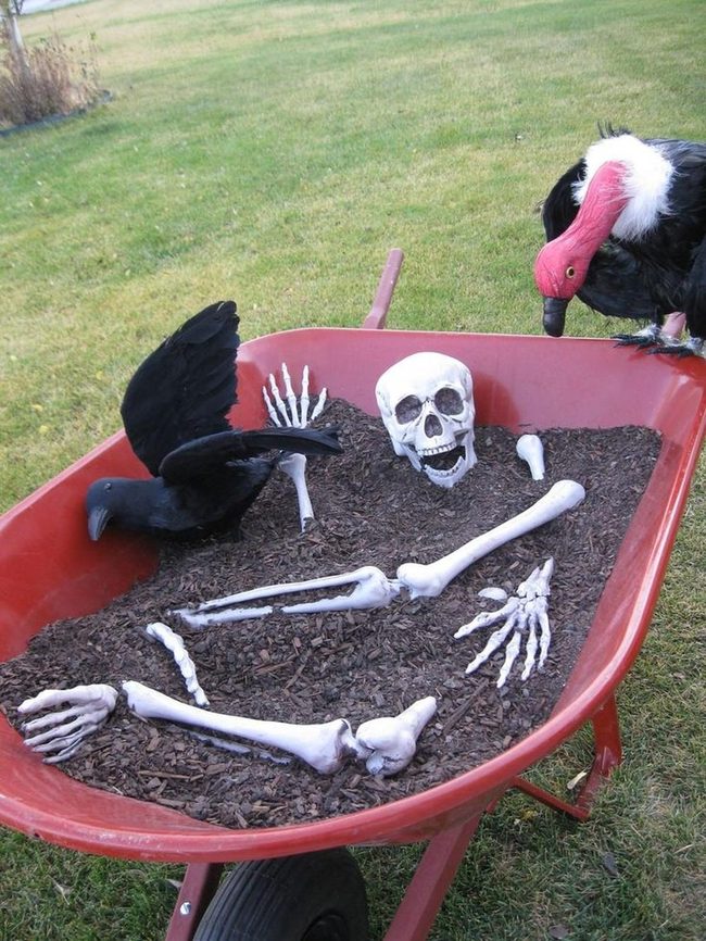 Skeleton Bones Wheelbarrow Vulture Scene