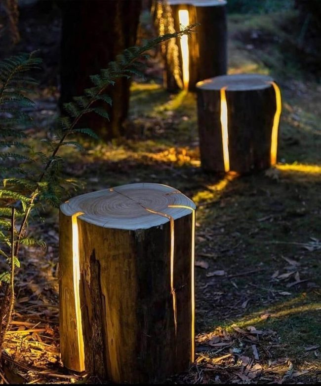 Hollowed Stump With Glowing Core