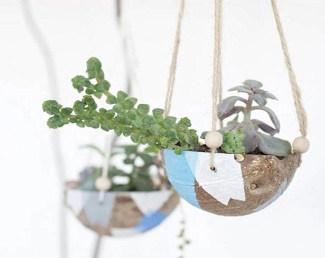 Coconut Shell Hanging Planters