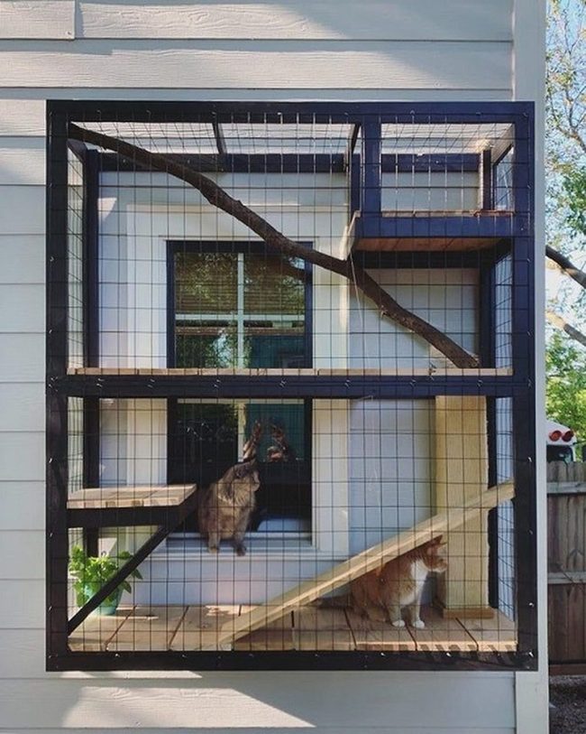 Wooden Branches, Natural Feline Playground