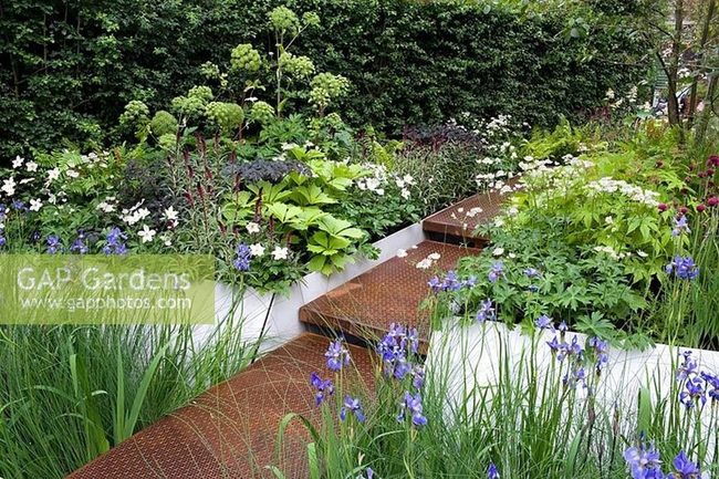Garden Path Through Blooming Borders